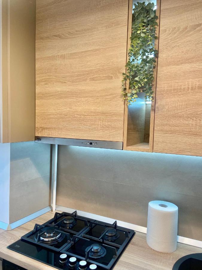 Lazar Loft Leilighet Iasi Eksteriør bilde