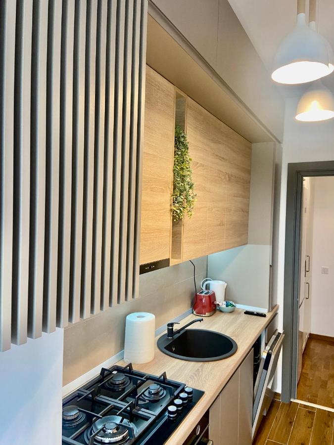 Lazar Loft Leilighet Iasi Eksteriør bilde