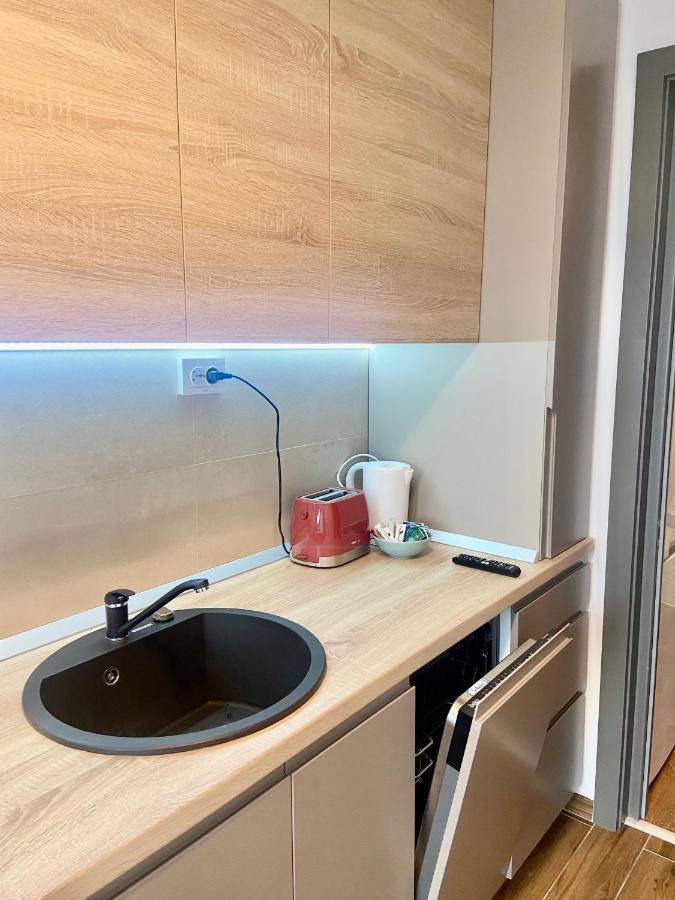 Lazar Loft Leilighet Iasi Eksteriør bilde